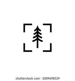 photography nature pine evergreen fir hemlock conifer coniferous larch pinus cypress logo design vector illustration