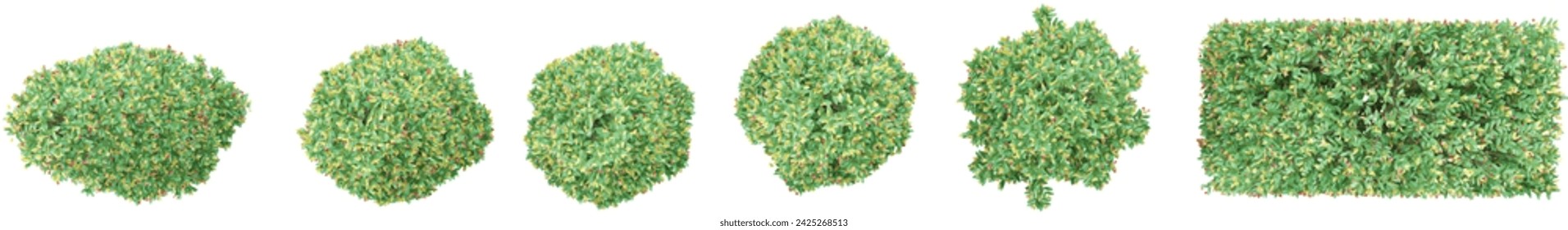 photorealistic 3D rendering of Pinnacle trees in transparent background of top view