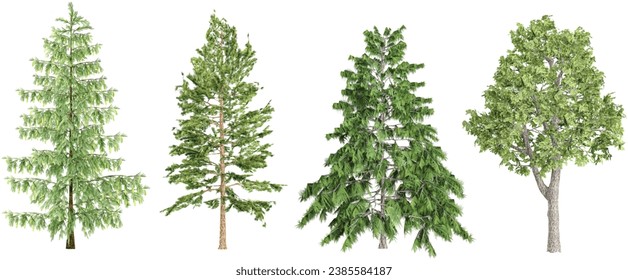 fotorealistische 3D-Darstellung von Pinus,Pinus Strobus,Cedrus deodara,Acer platanoides Bäume auf transparentem Hintergrund