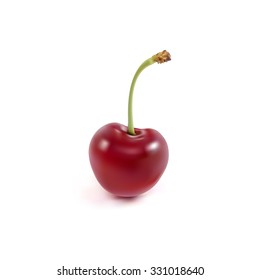 Photo-realistic cherry on white background. Vector illustration EPS10