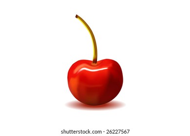 photorealistic cherry vector