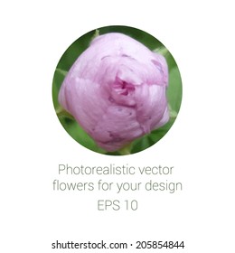 Photorealistic flower