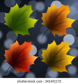  Photorealistic green, orange, red, yellow maple leafs. Very detailed leaf texture with yellow light and blurred light backdrop. It can be used separately from the background. Vector.