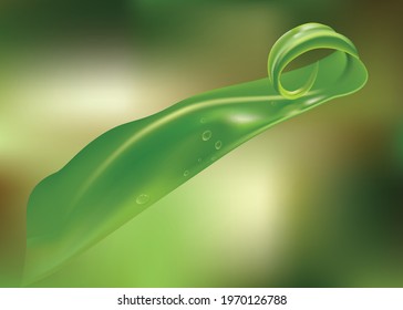 Photorealistic Maile Leaf on abstract green background with waves