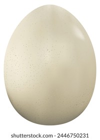 Photorealistic ostrich egg in the style of 3D realism. Vector illustration of ostrich egg isolated on white background