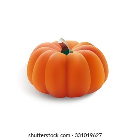 Photo-realistic pumpkin on white background. Vector Illustration EPS10