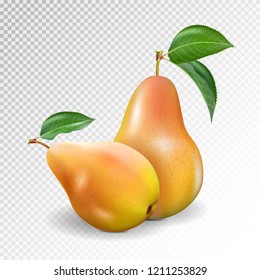 Photo-realistic vector 3d illustration of the two green ripe pears with the green leafs.