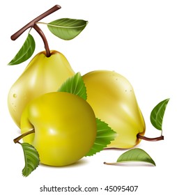 Photo-realistic vector. Apple and pears.