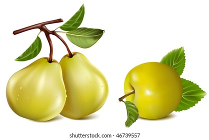 fotorealistische Vektorgrafik. Apfel und Birnen.