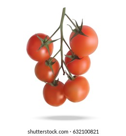 Photo-realistic vector cherry tomatoes on a branch