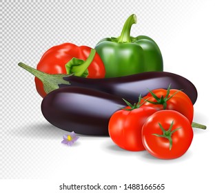 Photo-realistic vector. Colorful fresh group of vegetables. Eggplants and tomatoes. 3d illustration