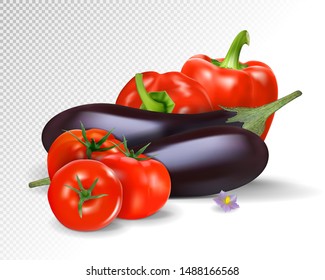 Photo-realistic vector. Colorful fresh group of vegetables. Eggplants, paprika and tomatoes. 3d illustration