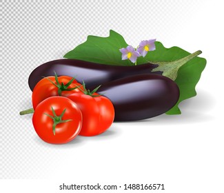 Photo-realistic vector. Colorful fresh group of vegetables. Eggplants and tomatoes. 3d illustration