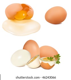 Photo-realistic vector of egg.