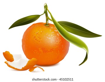 Vetor foto-realista. Tangerina fresca com folhas verdes e casca de tangerina.