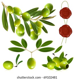 Photo-realistic vector green olives with leaves.