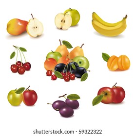 Photo-realistic vector illustration. Big group of different fruit.