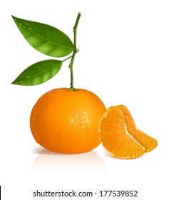 Photo-realistic vector illustration. Fresh tangerine fruits with green leaves and slices.