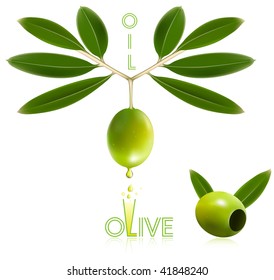 Photo-realistic vector illustration. Green olives with leaves.