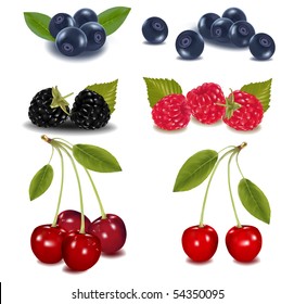 Photo-realistic vector illustration. Group of berries.