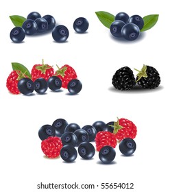 Photo-realistic vector illustration. Group of berries.