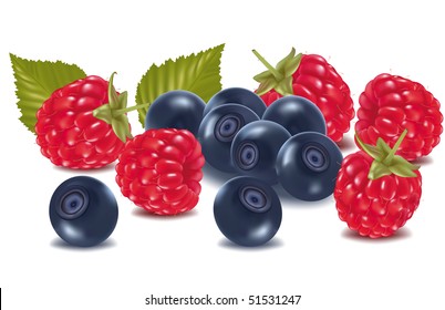 Photorealistic Vector Illustration Raspberries Blueberries Leaves Stock ...