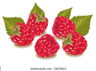 Framboise Dessin Images Photos Et Images Vectorielles De Stock Shutterstock