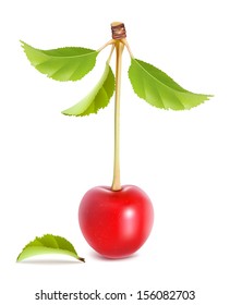 Ilustração vetorial foto-realista de cereja vermelha madura com folhas.