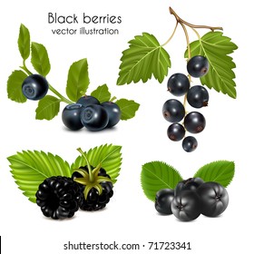 Photo-realistic vector illustration. Set of black berries with leaves.