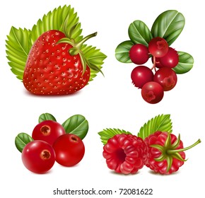 Photo-realistic Vector Illustration. Set Of Red Berries With Leaves.