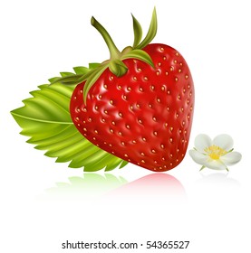 Photo-realistic vector illustration. Strawberry with leaves and flowers.