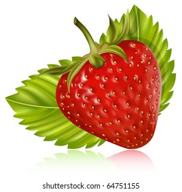 Photo-realistic vector illustration. Strawberry with leaves.