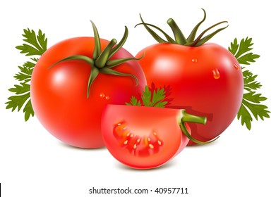 Photo-realistic vector illustration. Tomato with water drops and parsley.