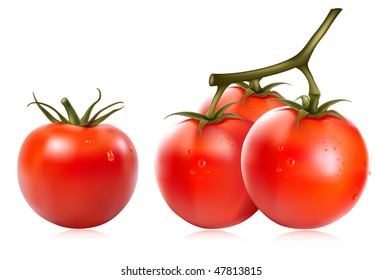 Photo-realistic vector illustration. Tomatoes with water drops.