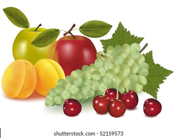Photo-realistic vector illustration. Two apples, two apricots, cherries and grapes