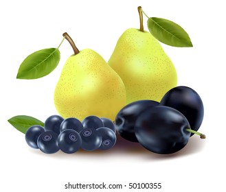 Photo-realistic vector illustration. Two ripe green pears with three blue plums and blueberries.