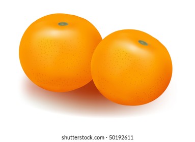 Photo-realistic vector illustration. Two ripe tangerines.