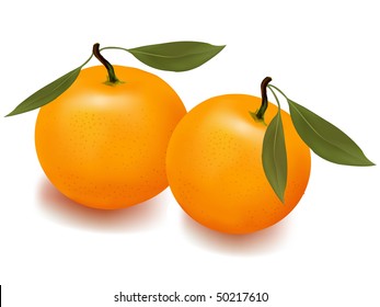 Photo-realistic vector illustration. Two ripe tangerine fruits with green leaves.