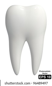 Photo-realistic vector illustration of a white tooth - isolated icon