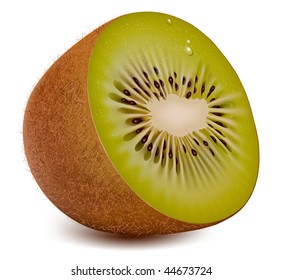 Photo-realistic vector. Kiwi.