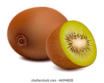 Photo-realistic vector. Kiwi.