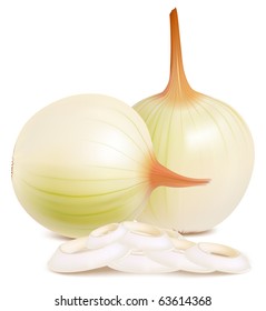 Photo-realistic vector of onion.