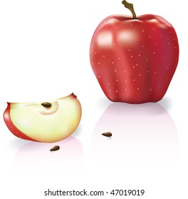 photorealistic vector of red apple