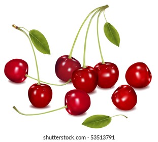 Photo-realistic vector. Ripe cherries with leaves.