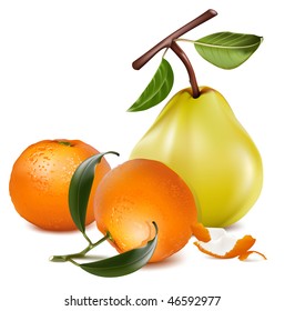 Photo-realistic vector of ripe pear and tangerine fruits.