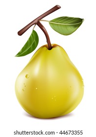 Photo-realistic vector. Ripe pear with water drops.