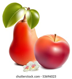 Photo-realistic vector. Ripe red apple and pear.