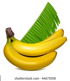 Photo-realistic vector. Ripe yellow bananas with leaves.