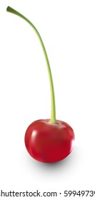 Photo-realistic vector.Cherry
