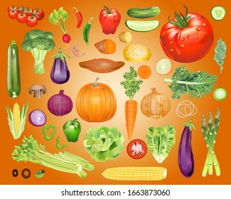 Photo-Realistic Vegetable Vector Kit - Waterdrops optional - Isolated and arrangeable for print, web, apps, media